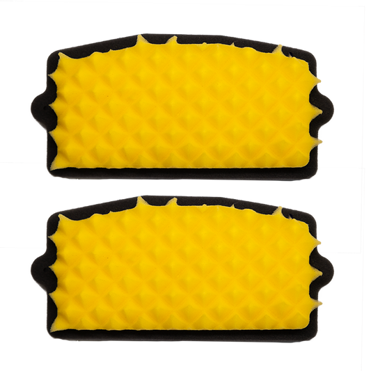 BMW GS 1300 ADV Air Filter Kit